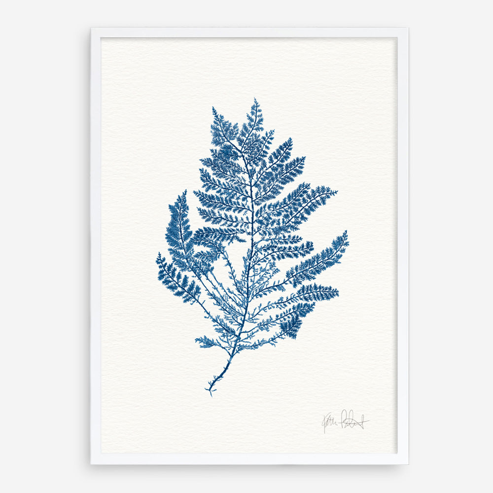 Shop Sea Garden III Royal Blue Art Print a coastal themed painted wall art print from The Print Emporium wall artwork collection - Buy Australian made fine art painting style poster and framed prints for the home and your interior decor room, TPE-WA-63920-AP