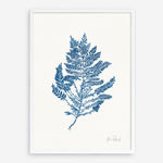 Shop Sea Garden III Royal Blue Art Print a coastal themed painted wall art print from The Print Emporium wall artwork collection - Buy Australian made fine art painting style poster and framed prints for the home and your interior decor room, TPE-WA-63920-AP