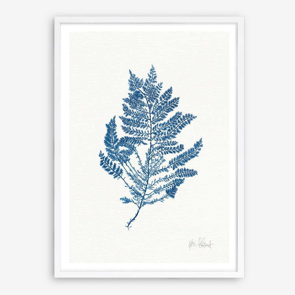 Shop Sea Garden III Royal Blue Art Print a coastal themed painted wall art print from The Print Emporium wall artwork collection - Buy Australian made fine art painting style poster and framed prints for the home and your interior decor room, TPE-WA-63920-AP