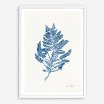 Shop Sea Garden III Royal Blue Art Print a coastal themed painted wall art print from The Print Emporium wall artwork collection - Buy Australian made fine art painting style poster and framed prints for the home and your interior decor room, TPE-WA-63920-AP