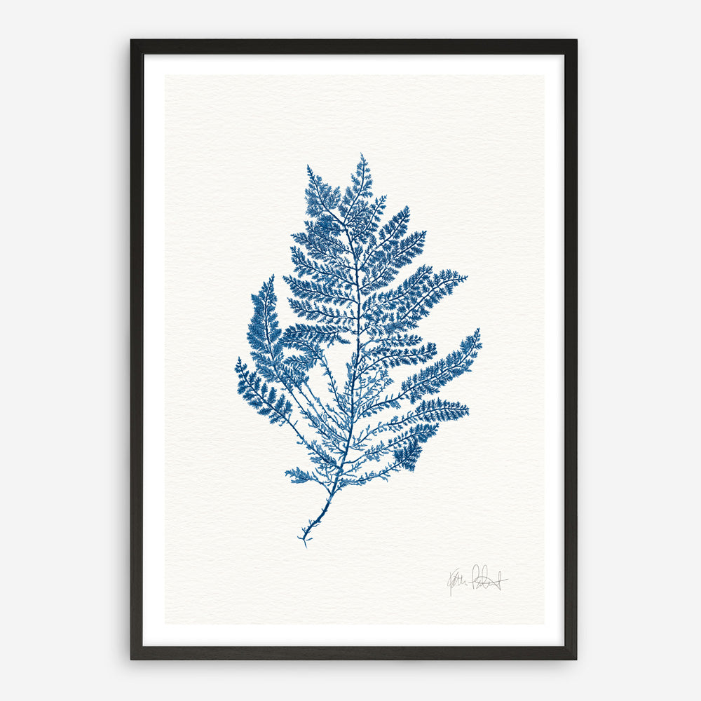 Shop Sea Garden III Royal Blue Art Print a coastal themed painted wall art print from The Print Emporium wall artwork collection - Buy Australian made fine art painting style poster and framed prints for the home and your interior decor room, TPE-WA-63920-AP