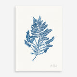 Shop Sea Garden III Royal Blue Art Print a coastal themed painted wall art print from The Print Emporium wall artwork collection - Buy Australian made fine art painting style poster and framed prints for the home and your interior decor room, TPE-WA-63920-AP