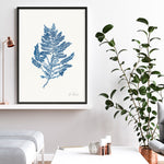 Shop Sea Garden III Royal Blue Art Print a coastal themed painted wall art print from The Print Emporium wall artwork collection - Buy Australian made fine art painting style poster and framed prints for the home and your interior decor room, TPE-WA-63920-AP