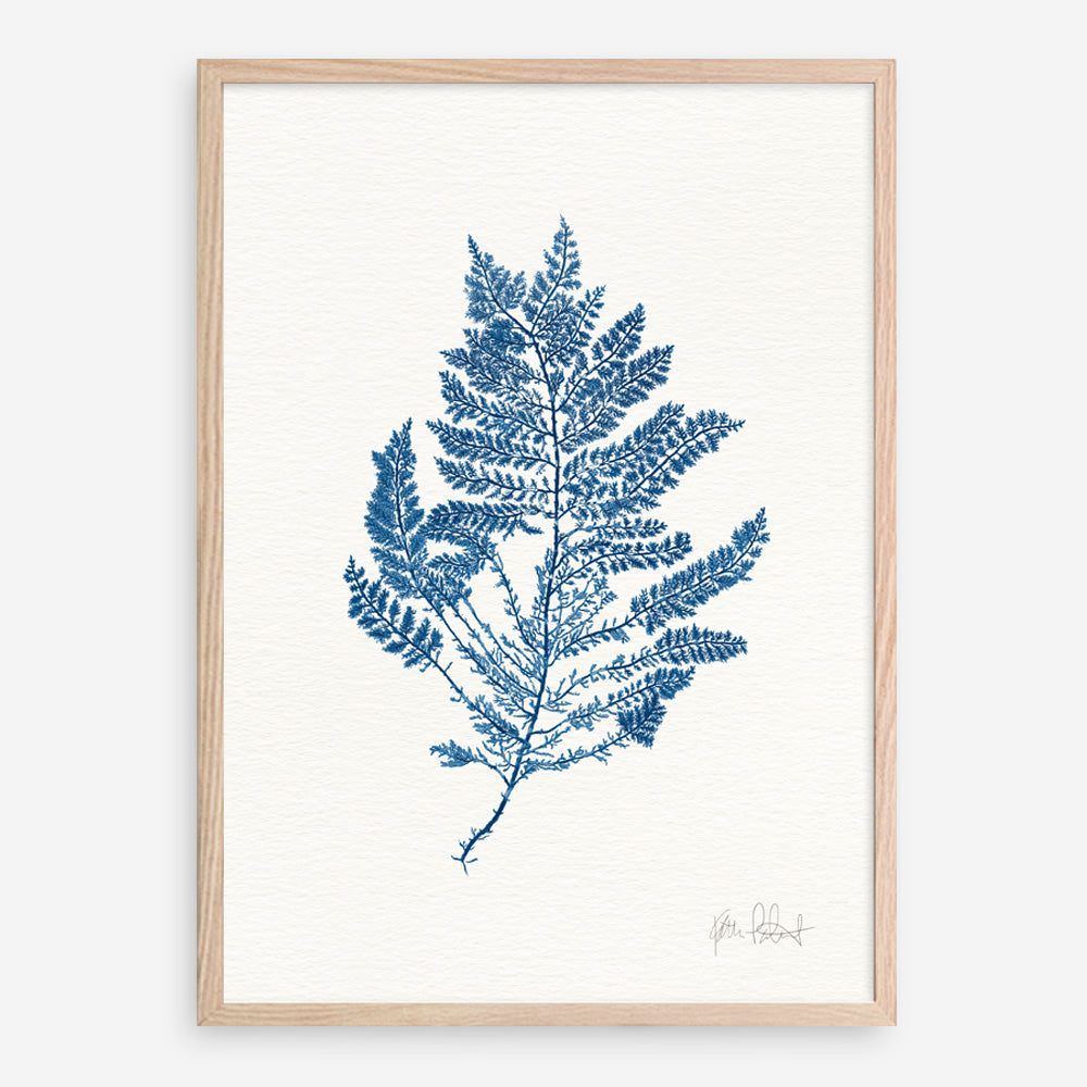 Shop Sea Garden III Royal Blue Art Print a coastal themed painted wall art print from The Print Emporium wall artwork collection - Buy Australian made fine art painting style poster and framed prints for the home and your interior decor room, TPE-WA-63920-AP