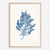 Shop Sea Garden III Royal Blue Art Print a coastal themed painted wall art print from The Print Emporium wall artwork collection - Buy Australian made fine art painting style poster and framed prints for the home and your interior decor room, TPE-WA-63920-AP