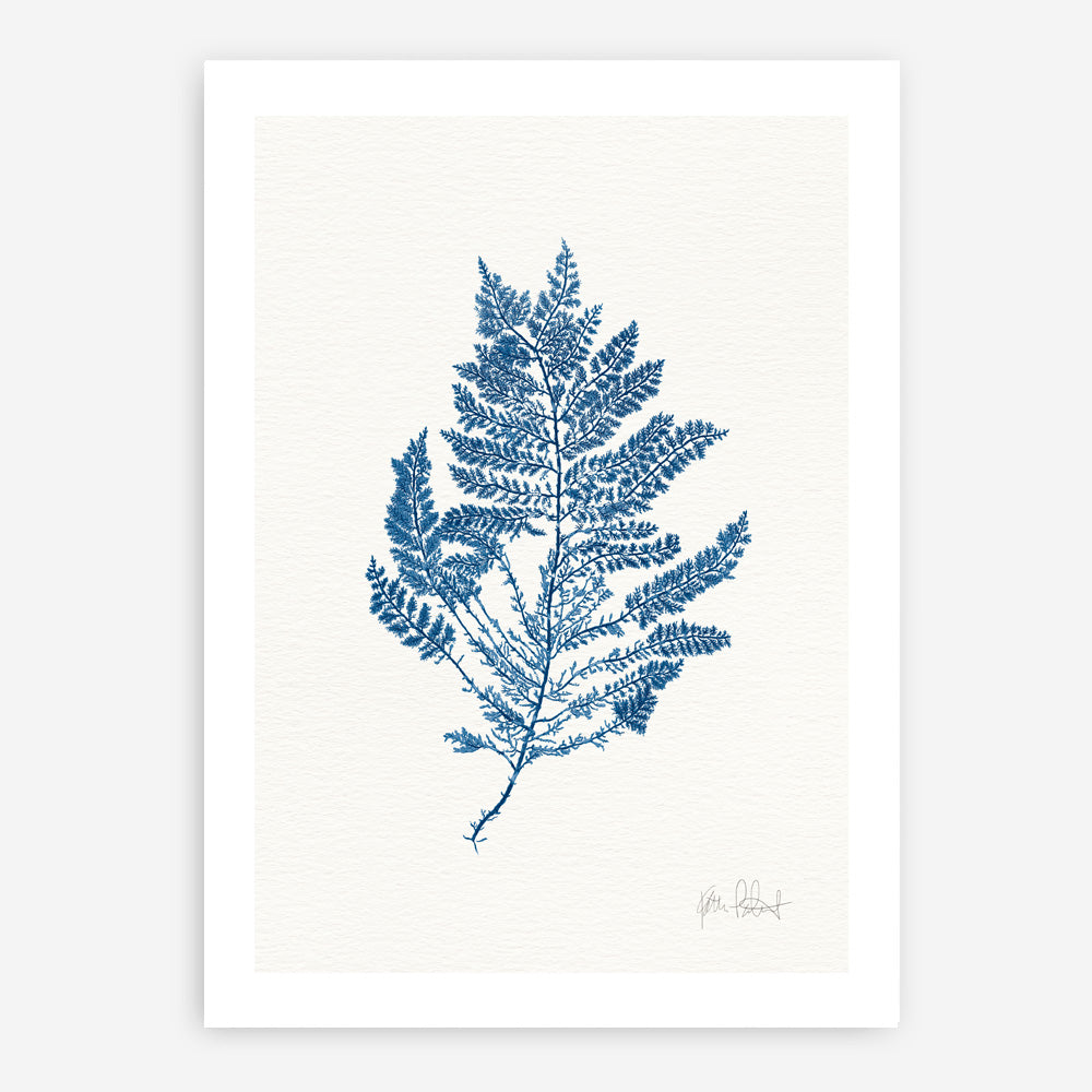 Shop Sea Garden III Royal Blue Art Print a coastal themed painted wall art print from The Print Emporium wall artwork collection - Buy Australian made fine art painting style poster and framed prints for the home and your interior decor room, TPE-WA-63920-AP