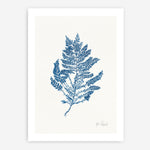 Shop Sea Garden III Royal Blue Art Print a coastal themed painted wall art print from The Print Emporium wall artwork collection - Buy Australian made fine art painting style poster and framed prints for the home and your interior decor room, TPE-WA-63920-AP
