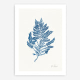 Shop Sea Garden III Royal Blue Art Print a coastal themed painted wall art print from The Print Emporium wall artwork collection - Buy Australian made fine art painting style poster and framed prints for the home and your interior decor room, TPE-WA-63920-AP