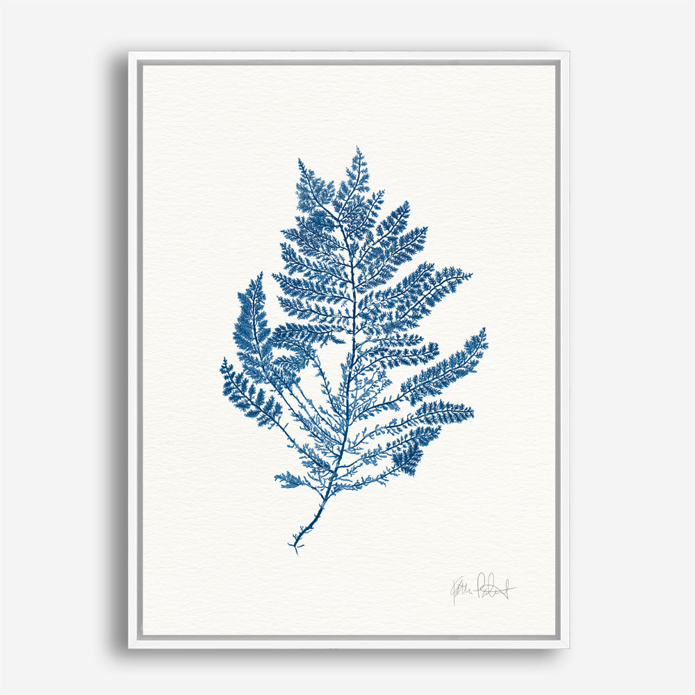 Shop Sea Garden III Royal Blue Canvas Print a painted style framed canvas wall art print from The Print Emporium artwork collection - Buy Australian made fine art painting style stretched canvas prints for the home and your interior decor space, TPE-WA-63920-CA-35X46-NF