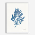 Shop Sea Garden III Royal Blue Canvas Print a painted style framed canvas wall art print from The Print Emporium artwork collection - Buy Australian made fine art painting style stretched canvas prints for the home and your interior decor space, TPE-WA-63920-CA-35X46-NF