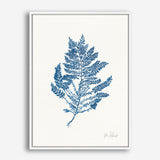 Shop Sea Garden III Royal Blue Canvas Print a painted style framed canvas wall art print from The Print Emporium artwork collection - Buy Australian made fine art painting style stretched canvas prints for the home and your interior decor space, TPE-WA-63920-CA-35X46-NF