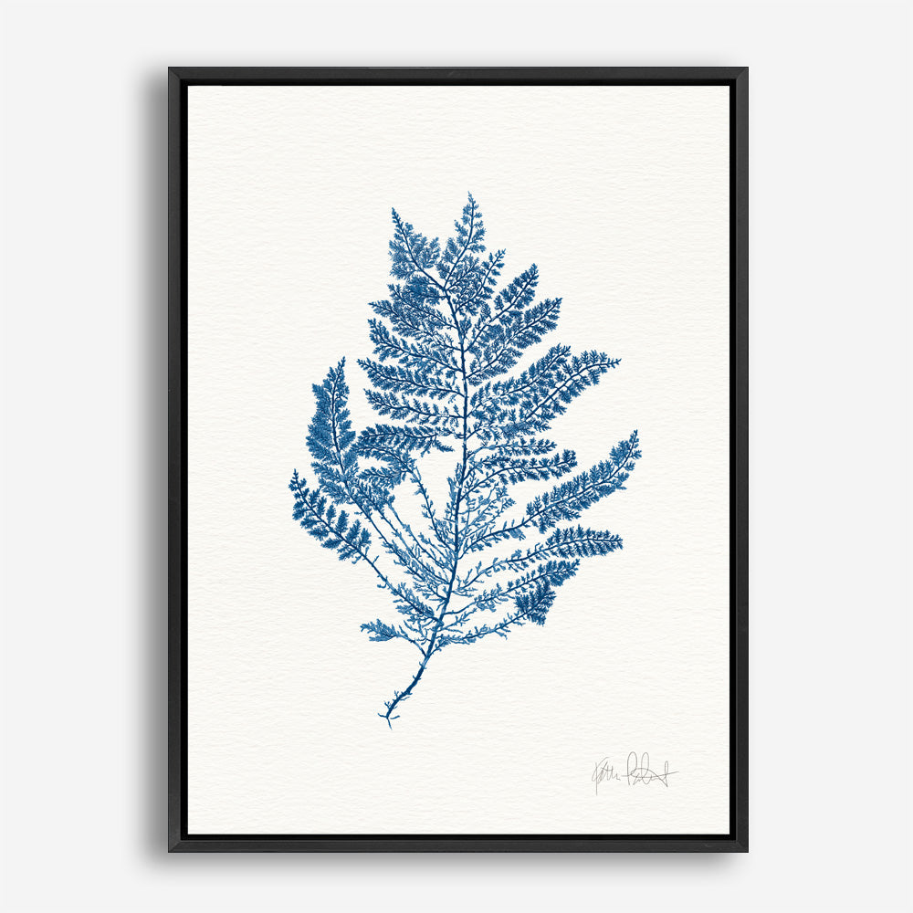 Shop Sea Garden III Royal Blue Canvas Print a painted style framed canvas wall art print from The Print Emporium artwork collection - Buy Australian made fine art painting style stretched canvas prints for the home and your interior decor space, TPE-WA-63920-CA-35X46-NF