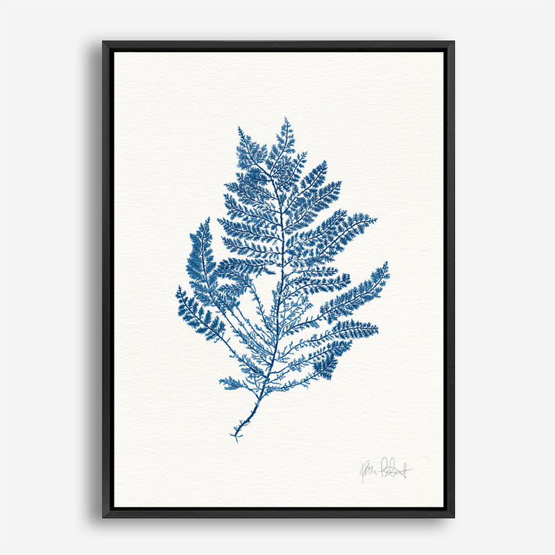 Shop Sea Garden III Royal Blue Canvas Print a painted style framed canvas wall art print from The Print Emporium artwork collection - Buy Australian made fine art painting style stretched canvas prints for the home and your interior decor space, TPE-WA-63920-CA-35X46-NF