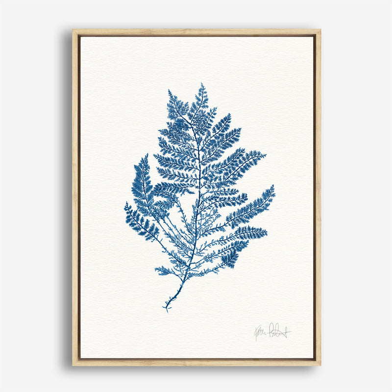 Shop Sea Garden III Royal Blue Canvas Print a painted style framed canvas wall art print from The Print Emporium artwork collection - Buy Australian made fine art painting style stretched canvas prints for the home and your interior decor space, TPE-WA-63920-CA-35X46-NF