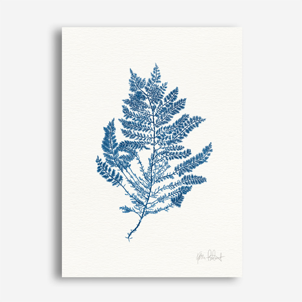 Shop Sea Garden III Royal Blue Canvas Print a painted style framed canvas wall art print from The Print Emporium artwork collection - Buy Australian made fine art painting style stretched canvas prints for the home and your interior decor space, TPE-WA-63920-CA-35X46-NF