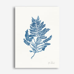 Shop Sea Garden III Royal Blue Canvas Print a painted style framed canvas wall art print from The Print Emporium artwork collection - Buy Australian made fine art painting style stretched canvas prints for the home and your interior decor space, TPE-WA-63920-CA-35X46-NF