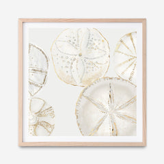 Shop Sea Patterns I (Square) Art Print a painted abstract themed wall art print from The Print Emporium wall artwork collection - Buy Australian made fine art painting style poster and framed prints for the home and your interior decor room, TPE-PC-WLR29-AP