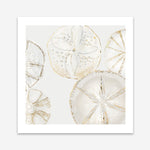 Shop Sea Patterns I (Square) Art Print a painted abstract themed wall art print from The Print Emporium wall artwork collection - Buy Australian made fine art painting style poster and framed prints for the home and your interior decor room, TPE-PC-WLR29-AP