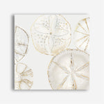 Shop Sea Patterns I (Square) Canvas Print a painted abstract themed framed canvas wall art print from The Print Emporium artwork collection - Buy Australian made fine art painting style stretched canvas prints for the home and your interior decor space, TPE-PC-WLR29-CA-40X40-NF