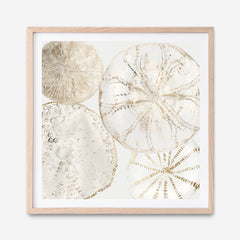 Shop Sea Patterns II (Square) Art Print a painted abstract themed wall art print from The Print Emporium wall artwork collection - Buy Australian made fine art painting style poster and framed prints for the home and your interior decor room, TPE-PC-WLR30-AP