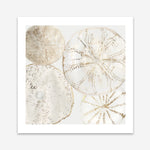 Shop Sea Patterns II (Square) Art Print a painted abstract themed wall art print from The Print Emporium wall artwork collection - Buy Australian made fine art painting style poster and framed prints for the home and your interior decor room, TPE-PC-WLR30-AP