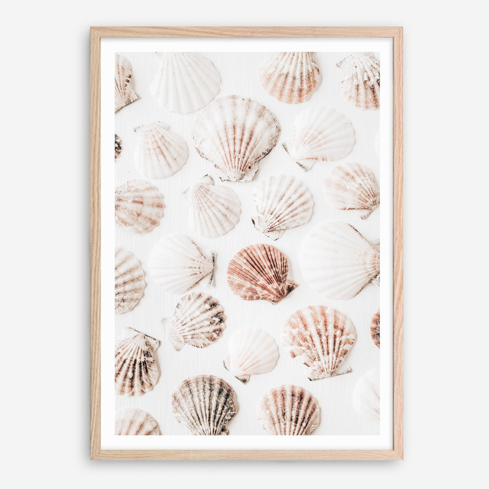 Shop Seashells I Photo Art Print a coastal themed photography wall art print from The Print Emporium wall artwork collection - Buy Australian made fine art poster and framed prints for the home and your interior decor, TPE-1254-AP