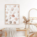 Shop Seashells I Photo Art Print a coastal themed photography wall art print from The Print Emporium wall artwork collection - Buy Australian made fine art poster and framed prints for the home and your interior decor, TPE-1254-AP