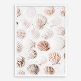 Shop Seashells I Photo Art Print a coastal themed photography wall art print from The Print Emporium wall artwork collection - Buy Australian made fine art poster and framed prints for the home and your interior decor, TPE-1254-AP