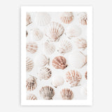 Shop Seashells I Photo Art Print a coastal themed photography wall art print from The Print Emporium wall artwork collection - Buy Australian made fine art poster and framed prints for the home and your interior decor, TPE-1254-AP