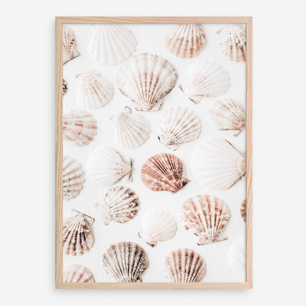 Shop Seashells I Photo Art Print a coastal themed photography wall art print from The Print Emporium wall artwork collection - Buy Australian made fine art poster and framed prints for the home and your interior decor, TPE-1254-AP