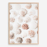 Shop Seashells I Photo Art Print a coastal themed photography wall art print from The Print Emporium wall artwork collection - Buy Australian made fine art poster and framed prints for the home and your interior decor, TPE-1254-AP