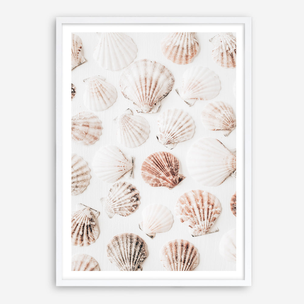 Shop Seashells I Photo Art Print a coastal themed photography wall art print from The Print Emporium wall artwork collection - Buy Australian made fine art poster and framed prints for the home and your interior decor, TPE-1254-AP