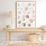 Shop Seashells I Photo Art Print a coastal themed photography wall art print from The Print Emporium wall artwork collection - Buy Australian made fine art poster and framed prints for the home and your interior decor, TPE-1254-AP