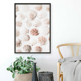 Shop Seashells I Photo Art Print a coastal themed photography wall art print from The Print Emporium wall artwork collection - Buy Australian made fine art poster and framed prints for the home and your interior decor, TPE-1254-AP