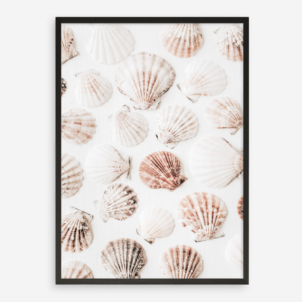 Shop Seashells I Photo Art Print a coastal themed photography wall art print from The Print Emporium wall artwork collection - Buy Australian made fine art poster and framed prints for the home and your interior decor, TPE-1254-AP