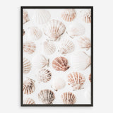 Shop Seashells I Photo Art Print a coastal themed photography wall art print from The Print Emporium wall artwork collection - Buy Australian made fine art poster and framed prints for the home and your interior decor, TPE-1254-AP