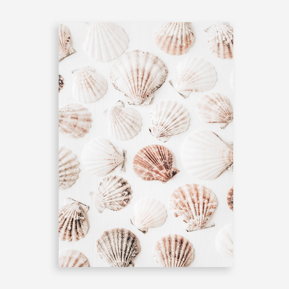 Shop Seashells I Photo Art Print a coastal themed photography wall art print from The Print Emporium wall artwork collection - Buy Australian made fine art poster and framed prints for the home and your interior decor, TPE-1254-AP
