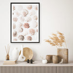 Shop Seashells I Photo Art Print a coastal themed photography wall art print from The Print Emporium wall artwork collection - Buy Australian made fine art poster and framed prints for the home and your interior decor, TPE-1254-AP