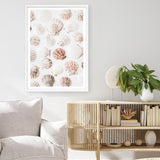 Shop Seashells I Photo Art Print a coastal themed photography wall art print from The Print Emporium wall artwork collection - Buy Australian made fine art poster and framed prints for the home and your interior decor, TPE-1254-AP