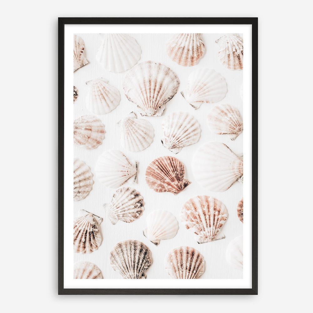 Shop Seashells I Photo Art Print a coastal themed photography wall art print from The Print Emporium wall artwork collection - Buy Australian made fine art poster and framed prints for the home and your interior decor, TPE-1254-AP