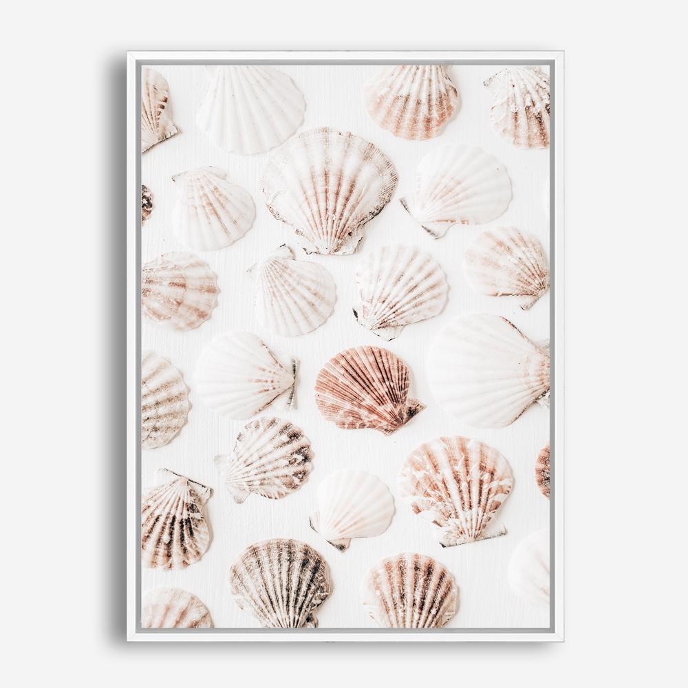 Shop Seashells I Photo Canvas Print a coastal themed photography framed stretched canvas print from The Print Emporium wall artwork collection - Buy Australian made prints for the home and your interior decor space, TPE-1254-CA-35X46-NF