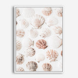 Shop Seashells I Photo Canvas Print a coastal themed photography framed stretched canvas print from The Print Emporium wall artwork collection - Buy Australian made prints for the home and your interior decor space, TPE-1254-CA-35X46-NF
