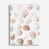 Shop Seashells I Photo Canvas Print a coastal themed photography framed stretched canvas print from The Print Emporium wall artwork collection - Buy Australian made prints for the home and your interior decor space, TPE-1254-CA-35X46-NF