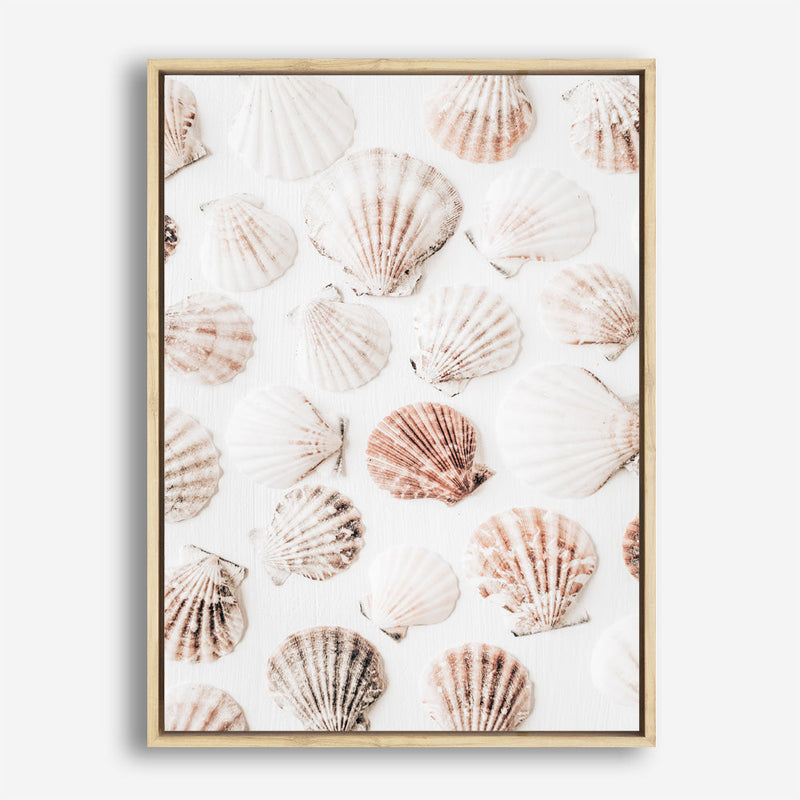 Shop Seashells I Photo Canvas Print a coastal themed photography framed stretched canvas print from The Print Emporium wall artwork collection - Buy Australian made prints for the home and your interior decor space, TPE-1254-CA-35X46-NF