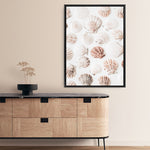 Shop Seashells I Photo Canvas Print a coastal themed photography framed stretched canvas print from The Print Emporium wall artwork collection - Buy Australian made prints for the home and your interior decor space, TPE-1254-CA-35X46-NF