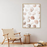 Shop Seashells I Photo Canvas Print a coastal themed photography framed stretched canvas print from The Print Emporium wall artwork collection - Buy Australian made prints for the home and your interior decor space, TPE-1254-CA-35X46-NF