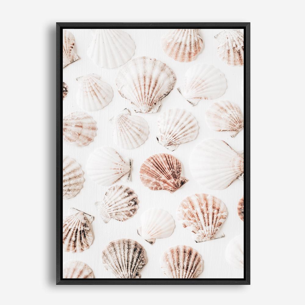 Shop Seashells I Photo Canvas Print a coastal themed photography framed stretched canvas print from The Print Emporium wall artwork collection - Buy Australian made prints for the home and your interior decor space, TPE-1254-CA-35X46-NF