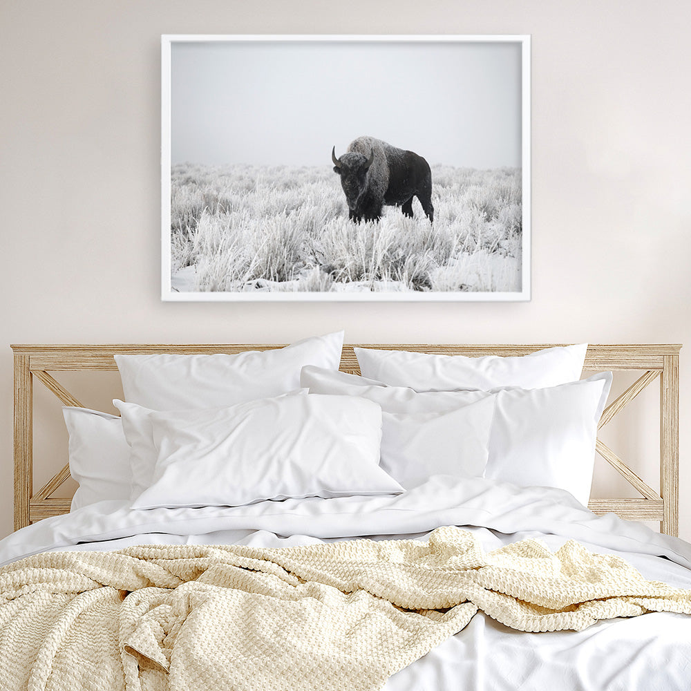 Shop Snow Buffalo Photo Art Print a photography wall art print from The Print Emporium wall artwork collection - Buy Australian made fine art poster and framed prints for the home and your interior decor room, TPE-111-AP