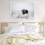 Shop Snow Buffalo Photo Art Print a photography wall art print from The Print Emporium wall artwork collection - Buy Australian made fine art poster and framed prints for the home and your interior decor room, TPE-111-AP