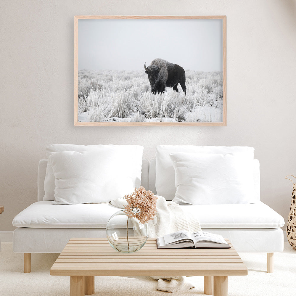 Shop Snow Buffalo Photo Art Print a photography wall art print from The Print Emporium wall artwork collection - Buy Australian made fine art poster and framed prints for the home and your interior decor room, TPE-111-AP